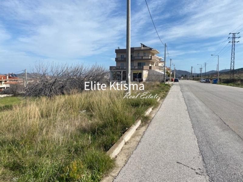 Building Plot in Venio Daskaleiou, Keratea — Photo 2 of 8