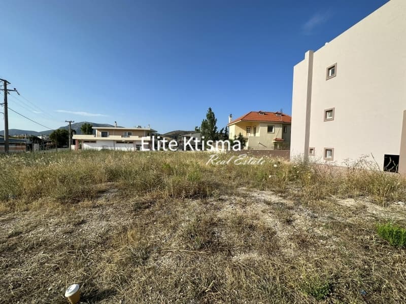Οικόπεδο στην Βένιο Δασκαλειού, Κερατέα — Φωτογραφία 4 από 7