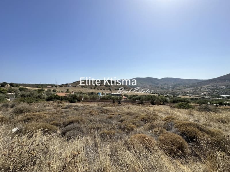 Αγροτεμάχιο στην Διψέλιζα, Κερατέα — Φωτογραφία 4 από 5