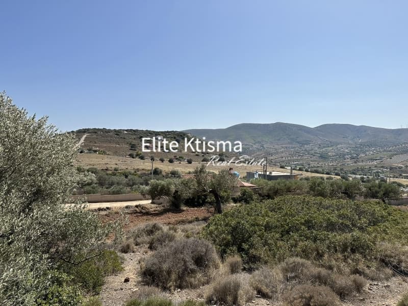 Αγροτεμάχιο στην Διψέλιζα, Κερατέα — Φωτογραφία 3 από 5