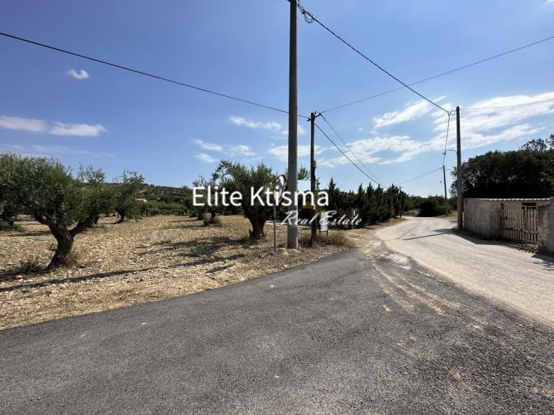 Αγροτεμάχιο στην Βένιο Δασκαλειού, Κερατέα — Φωτογραφία 2 από 5
