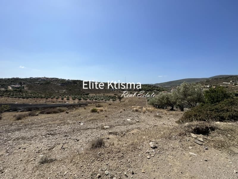Αγροτεμάχιο στην Πόρτο Εννιά, Κερατέα — Φωτογραφία 2 από 3