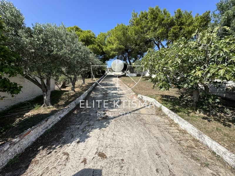 Μονοκατοικία στην Κέντρο, Μαρκόπουλο — Φωτογραφία 22 από 30