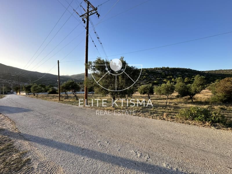 Αγροτεμάχιο στην Ελαιοχώρι, Λαύριο — Φωτογραφία 6 από 8