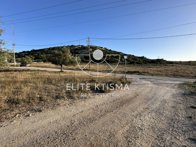 Αγροτεμάχιο στην Ελαιοχώρι, Λαύριο — Φωτογραφία 5 από 8