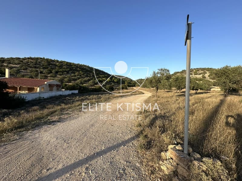 Αγροτεμάχιο στην Ελαιοχώρι, Λαύριο — Φωτογραφία 2 από 8