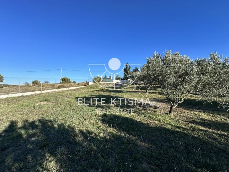 Οικόπεδο στην Ρουντζέρι Λεμπρού, Κερατέα — Φωτογραφία 6 από 11
