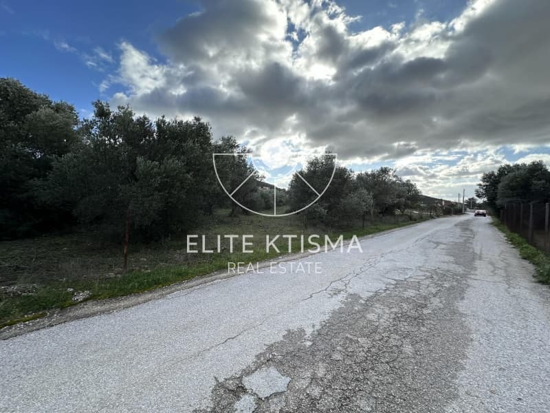 Parcel in ATE, Anavissos — Photo 6 of 6
