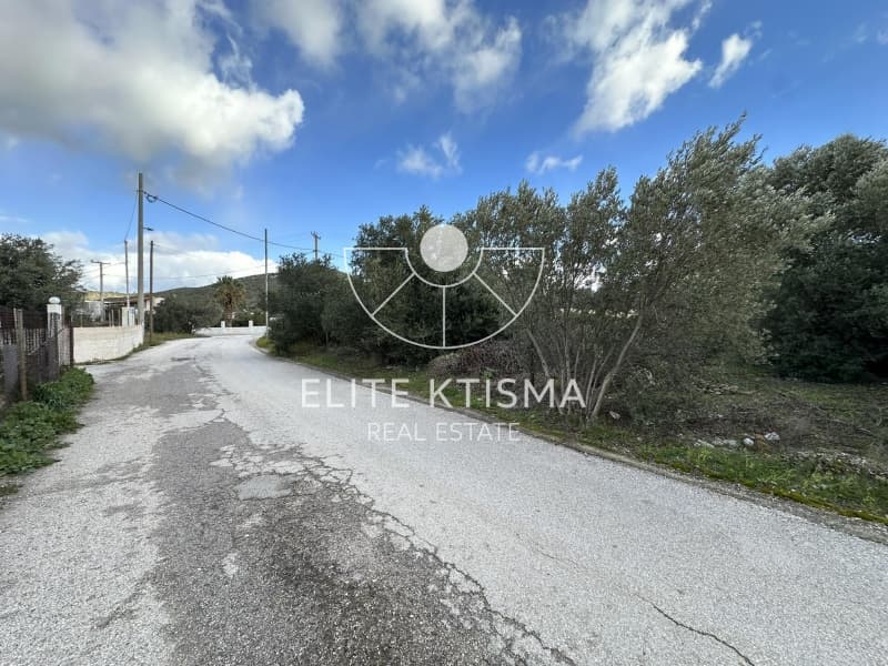 Parcel in ATE, Anavissos — Photo 4 of 6