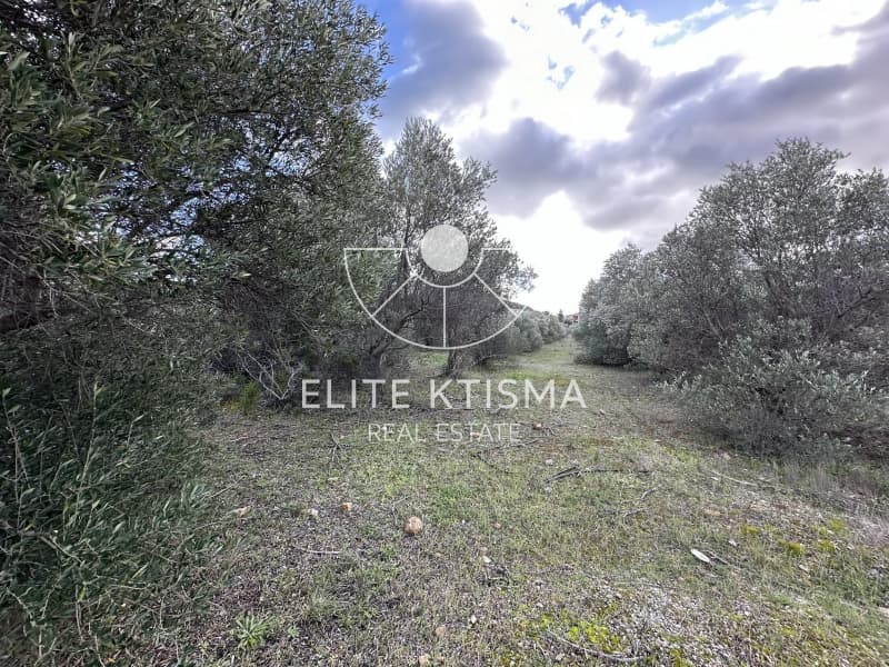 Parcel in ATE, Anavissos — Photo 1 of 6