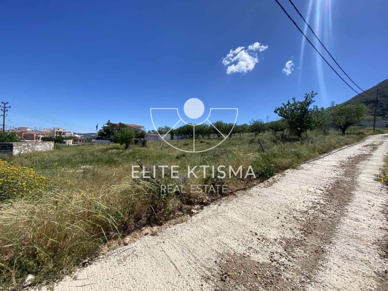 Building Plot in Venio Daskaleiou, Keratea — Photo 5 of 6