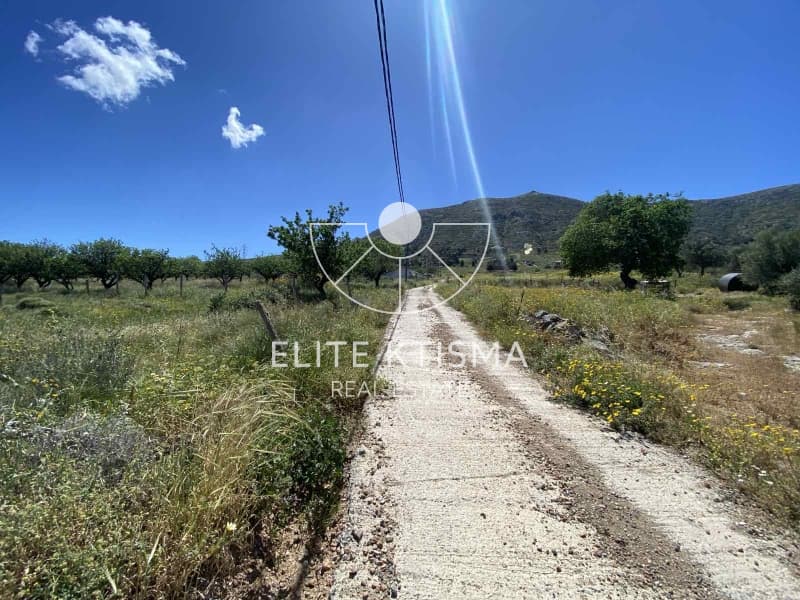 Building Plot in Venio Daskaleiou, Keratea — Photo 3 of 6
