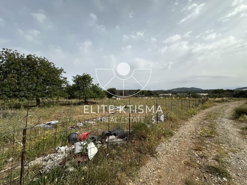 Building Plot in Venio Daskaleiou, Keratea — Photo 7 of 7
