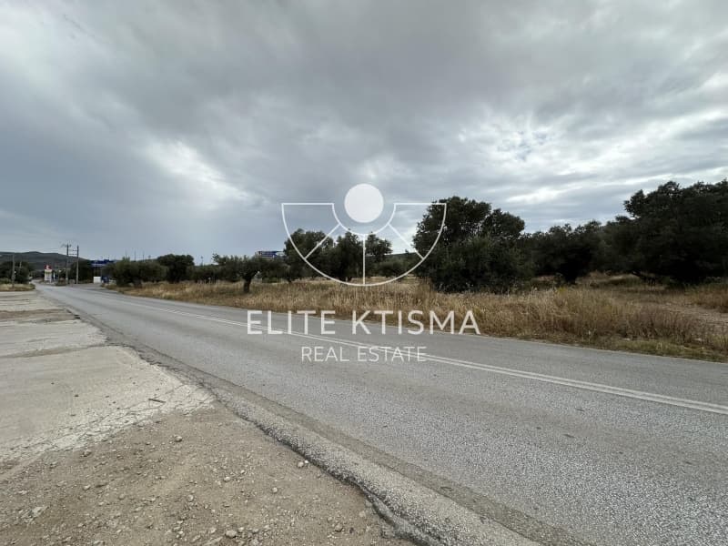 Building Plot in Venio Daskaleiou, Keratea — Photo 3 of 3