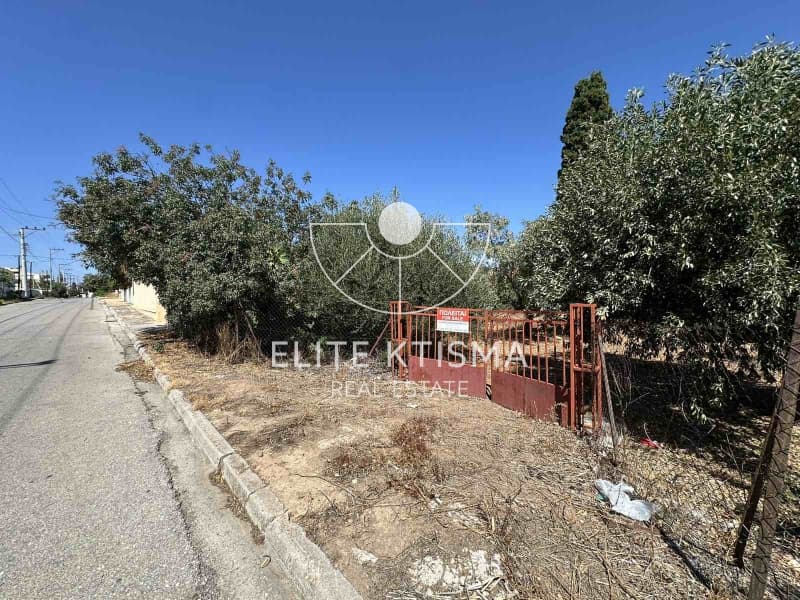 Building Plot in Venio Daskaleiou, Keratea — Photo 4 of 5