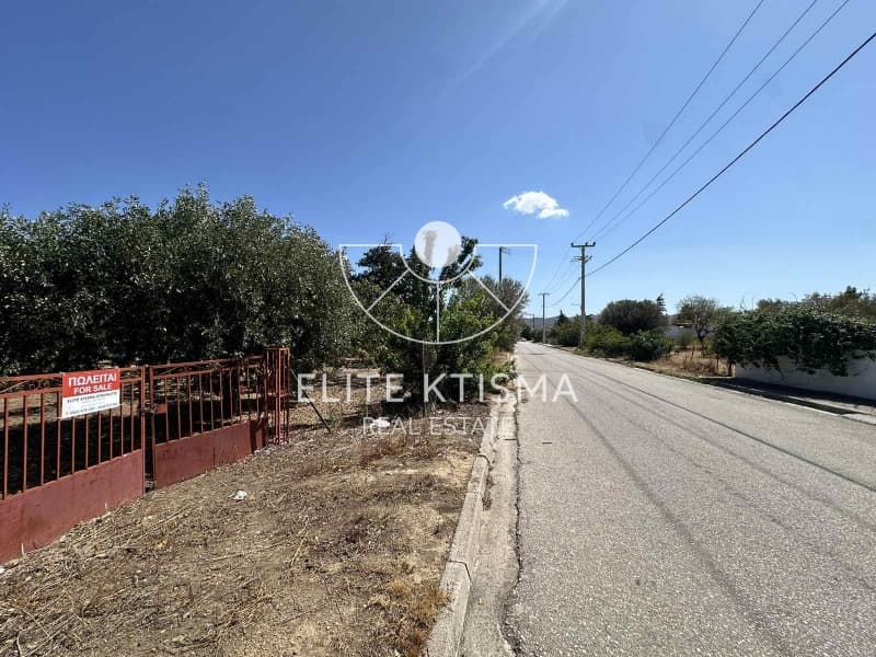 Building Plot in Venio Daskaleiou, Keratea — Photo 2 of 5