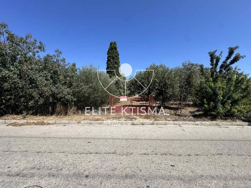 Building Plot in Venio Daskaleiou, Keratea — Photo 5 of 5