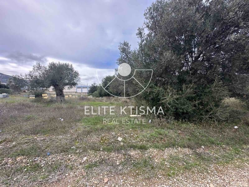 Building Plot in Venio Daskaleiou, Keratea — Photo 5 of 5