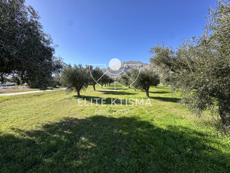 Αγροτεμάχιο στην Καλύβια, Καλύβια Θορικού — Φωτογραφία 3 από 8