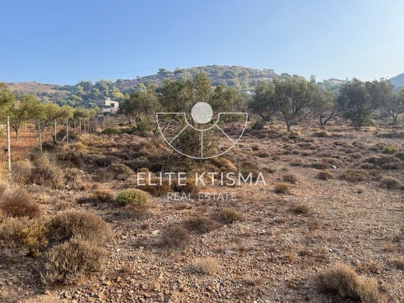 Parcel in Pefka, Keratea — Photo 3 of 13