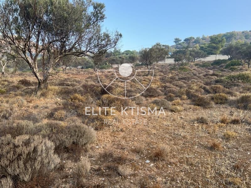 Parcel in Pefka, Keratea — Photo 11 of 13