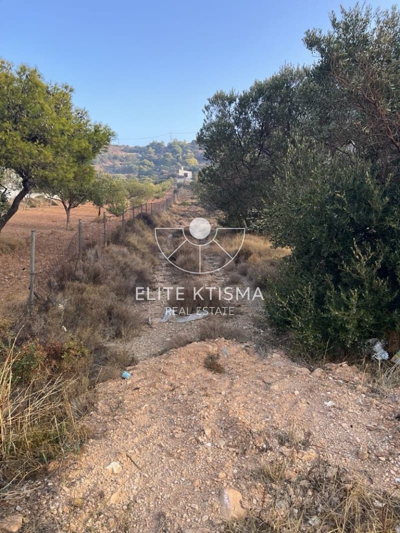 Parcel in Pefka, Keratea — Photo 1 of 13