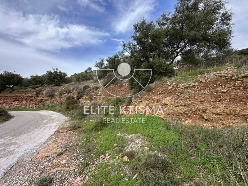 Parcel in Pefka, Keratea — Photo 10 of 13