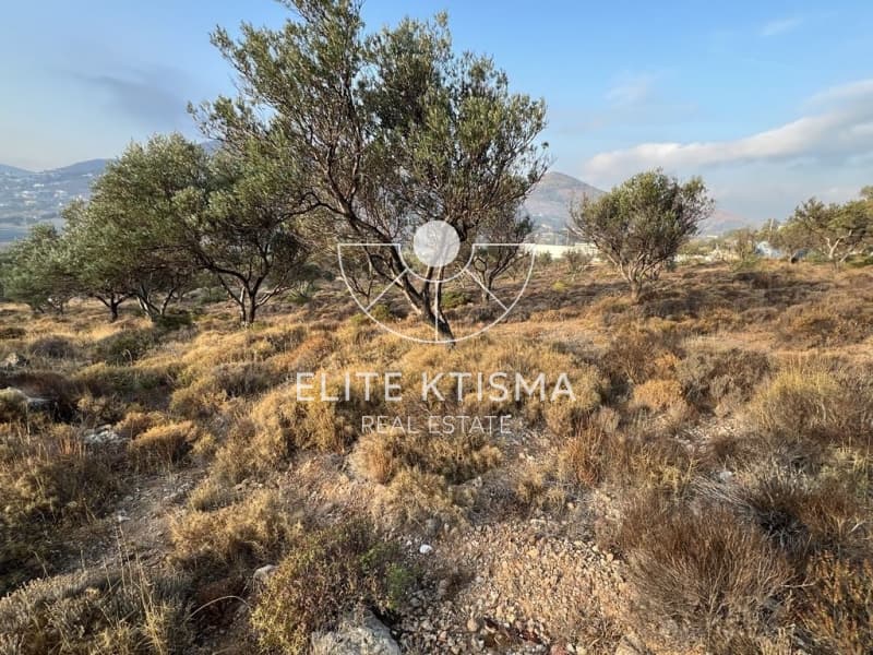 Parcel in Pefka, Keratea — Photo 9 of 13