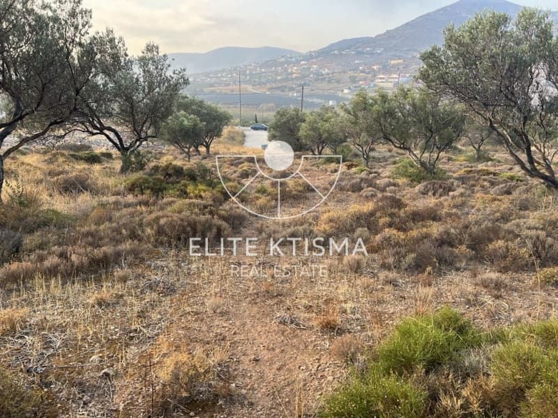 Parcel in Pefka, Keratea — Photo 8 of 13