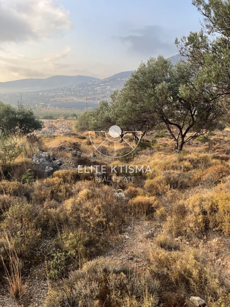 Parcel in Pefka, Keratea — Photo 7 of 13