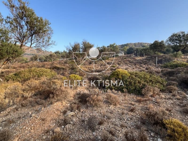 Parcel in Pefka, Keratea — Photo 2 of 13