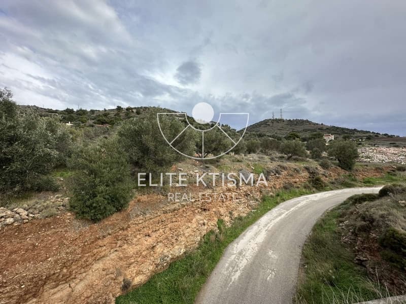 Parcel in Pefka, Keratea — Photo 4 of 13