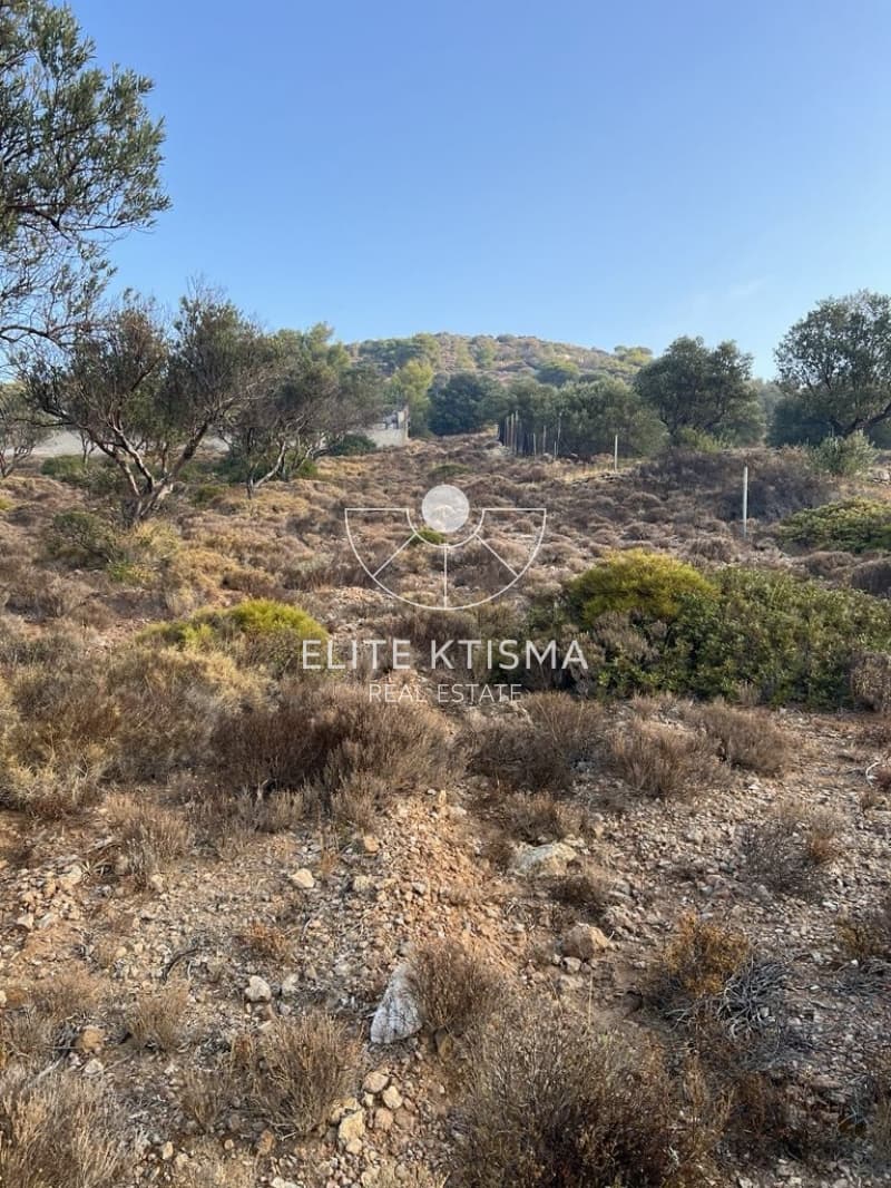 Parcel in Pefka, Keratea — Photo 6 of 13