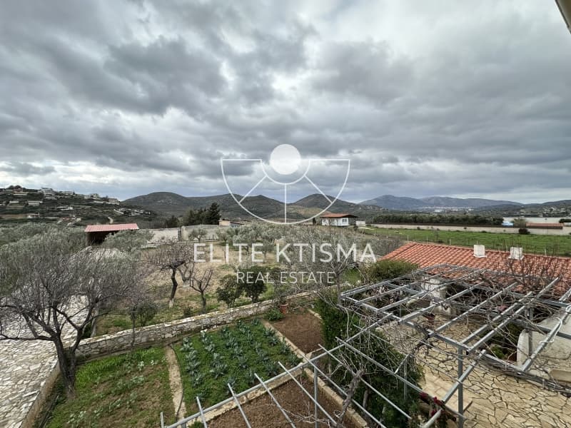 Μονοκατοικία στην Πεύκα, Κερατέα — Φωτογραφία 30 από 30