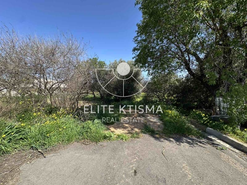 Building Plot in Venio Daskaleiou, Keratea — Photo 3 of 11