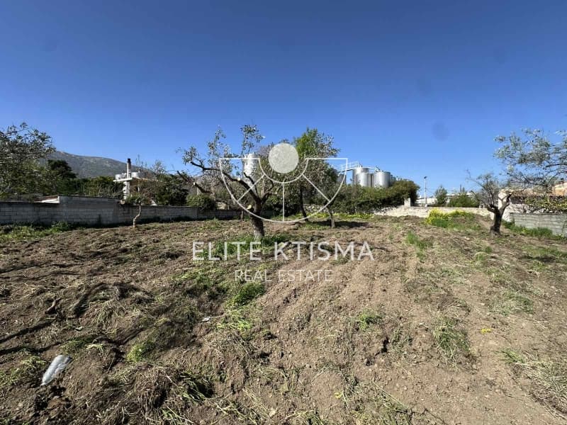 Building Plot in Venio Daskaleiou, Keratea — Photo 1 of 11