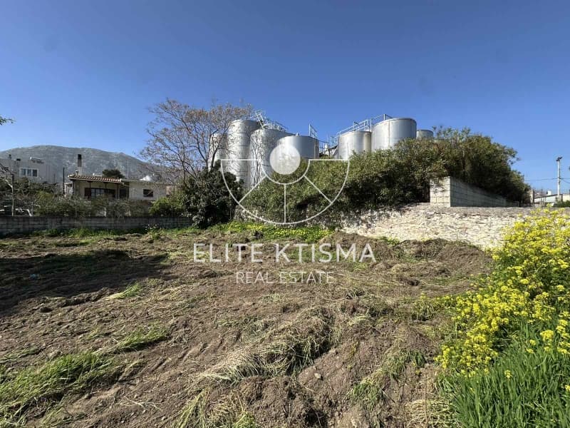 Building Plot in Venio Daskaleiou, Keratea — Photo 9 of 11