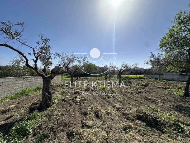 Building Plot in Venio Daskaleiou, Keratea — Photo 7 of 11