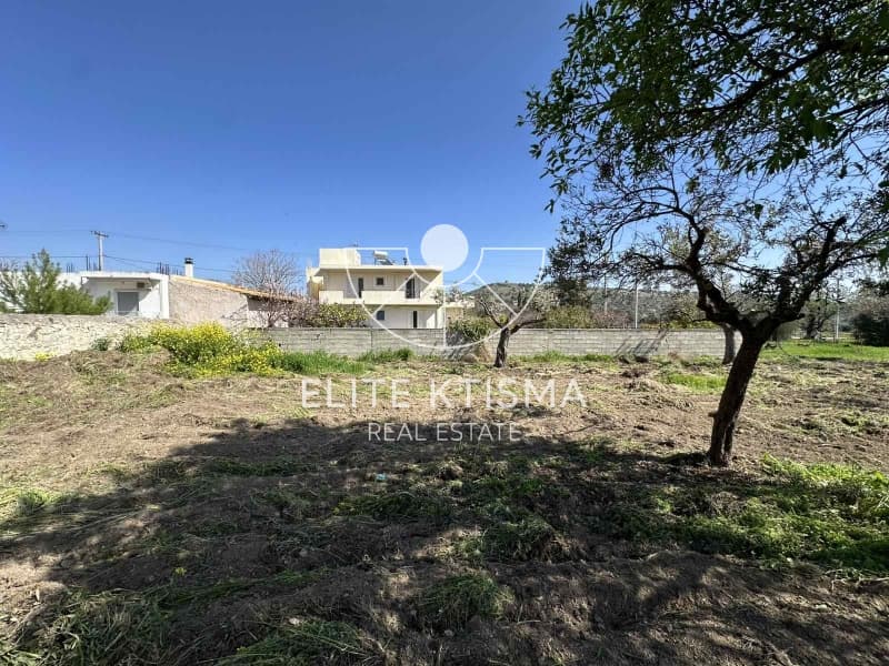 Building Plot in Venio Daskaleiou, Keratea — Photo 5 of 11