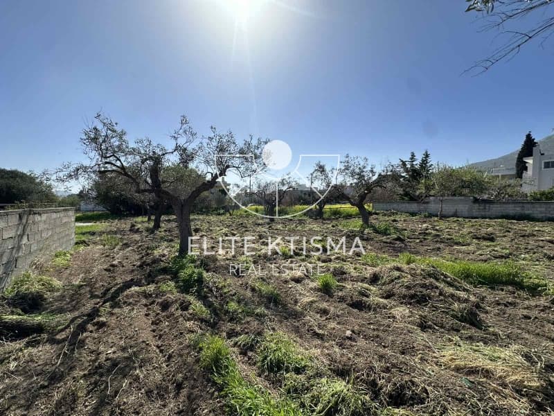 Building Plot in Venio Daskaleiou, Keratea — Photo 11 of 11