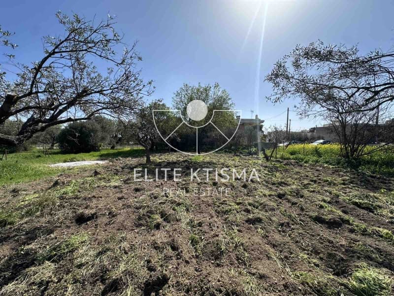 Building Plot in Venio Daskaleiou, Keratea — Photo 10 of 11