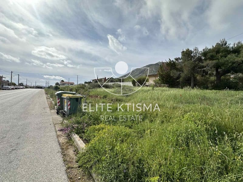 Building Plot in Venio Daskaleiou, Keratea — Photo 3 of 5