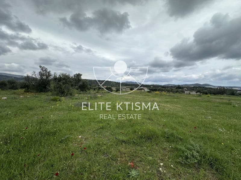 Building Plot in Venio Daskaleiou, Keratea — Photo 1 of 2
