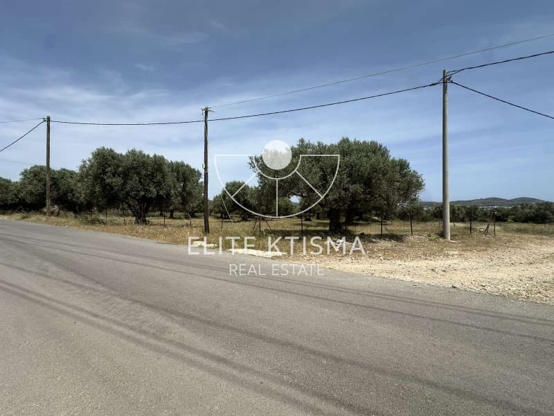 Building Plot in Venio Daskaleiou, Keratea — Photo 1 of 8