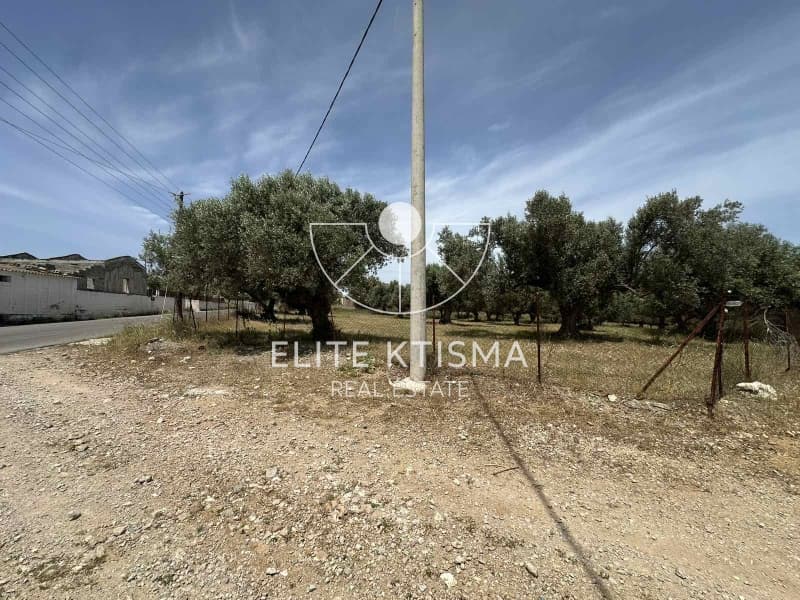 Building Plot in Venio Daskaleiou, Keratea — Photo 4 of 8