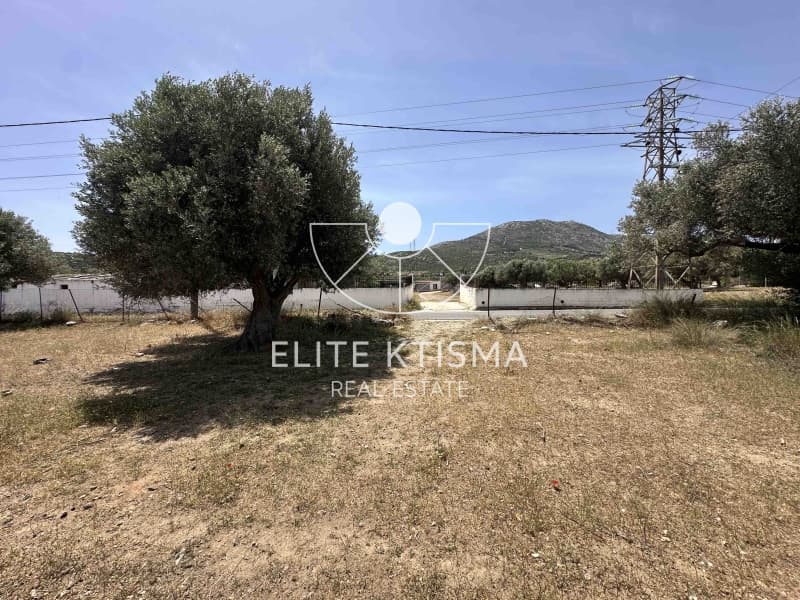 Building Plot in Venio Daskaleiou, Keratea — Photo 2 of 8