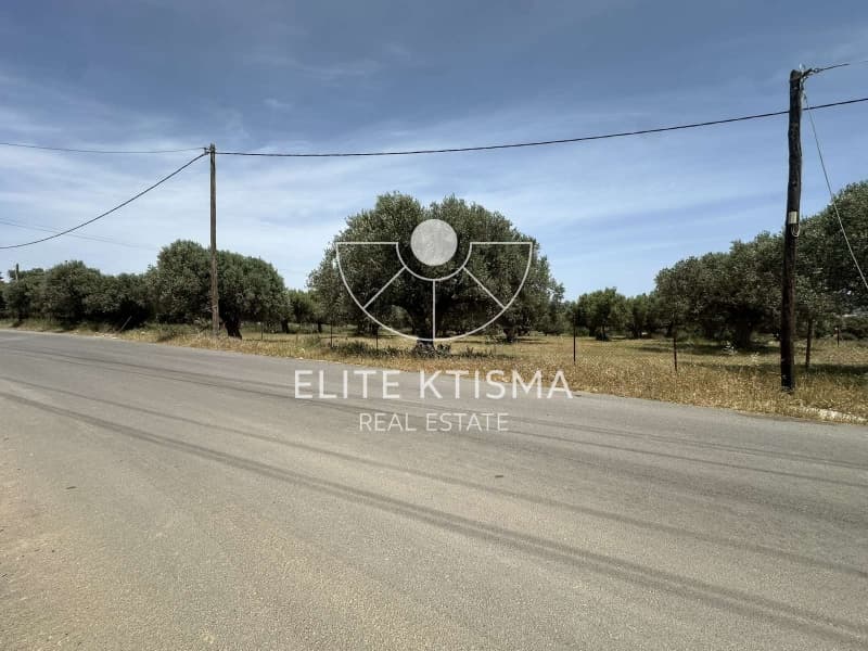 Building Plot in Venio Daskaleiou, Keratea — Photo 5 of 8