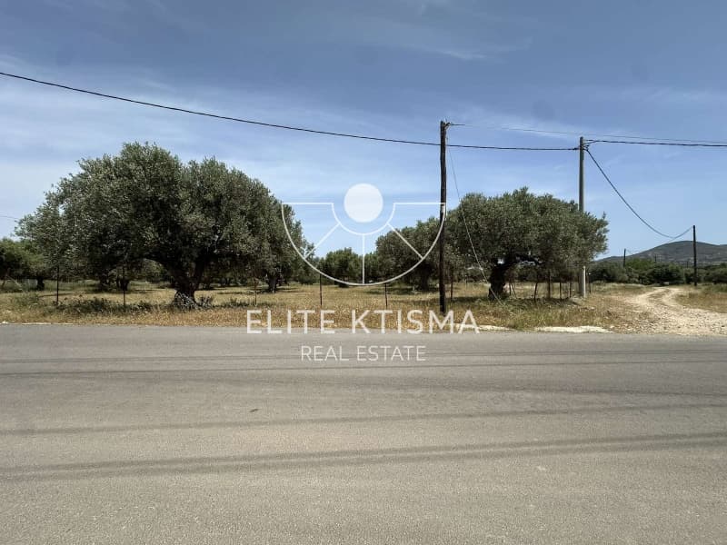 Building Plot in Venio Daskaleiou, Keratea — Photo 6 of 8