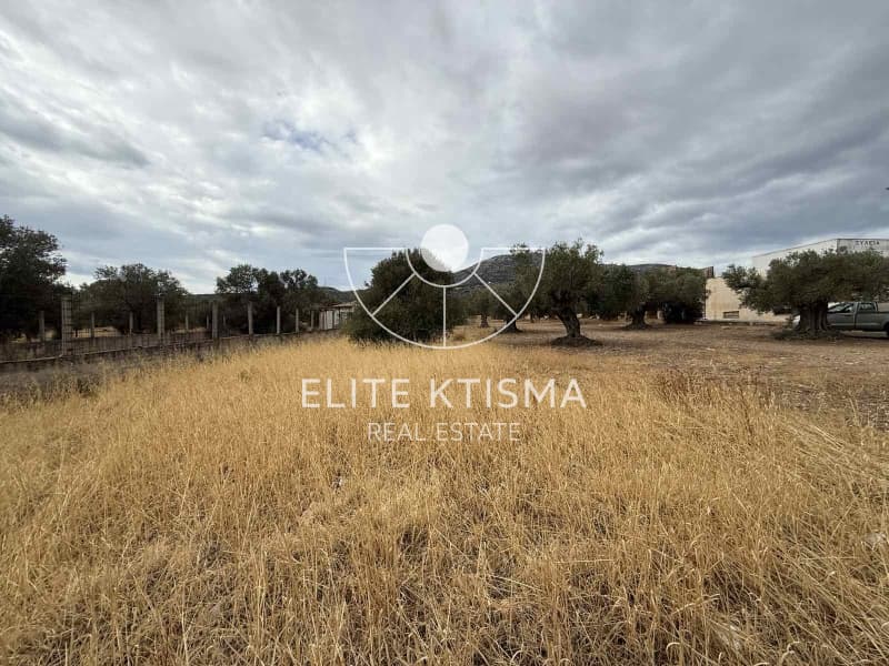Building Plot in Venio Daskaleiou, Keratea — Photo 4 of 5