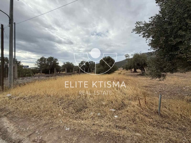 Building Plot in Venio Daskaleiou, Keratea — Photo 2 of 5